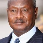 M7