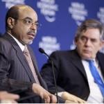 Meles_brown Meles_brown