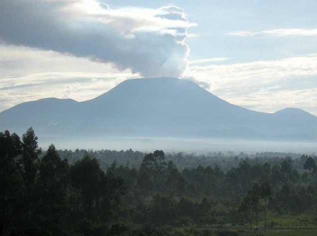 The Central Africa Forum