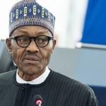 How has President Buhari fared in his first year? Credit: European Union 2016 - European Parliament