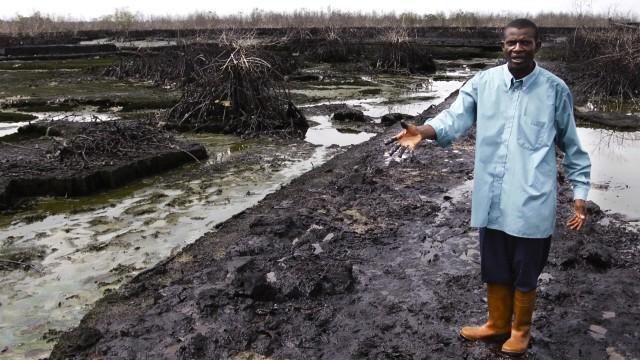 Image result for Ogoni Cleanup: Activists struggle for environmental remediation