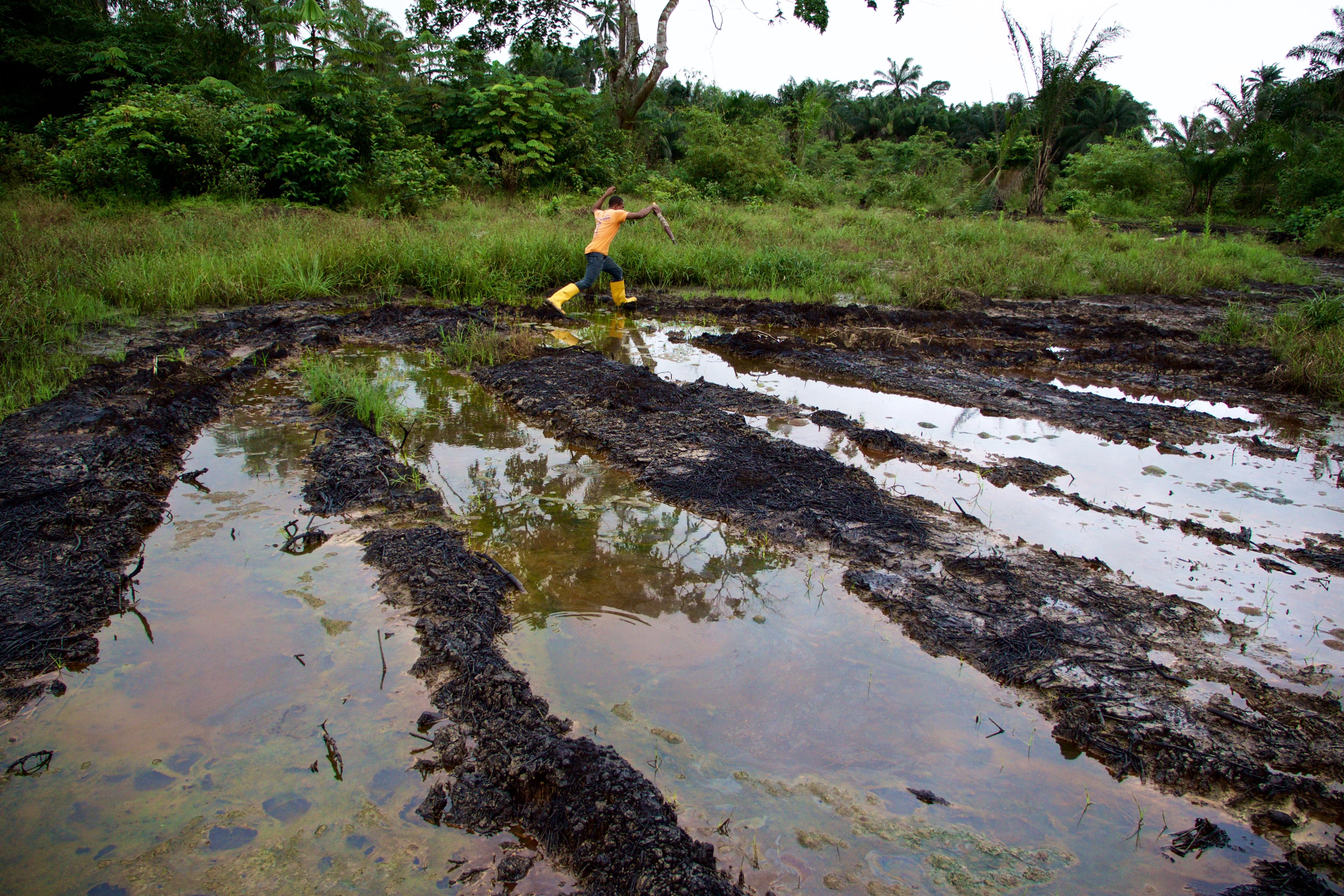 There have been countless oil spills in Niger Delta, Nigeria. Credit: Michael Uwemedimo/cmapping.net.