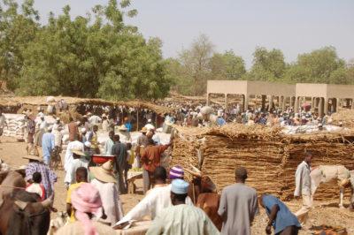 Diffa region, Boko Haram amnesty