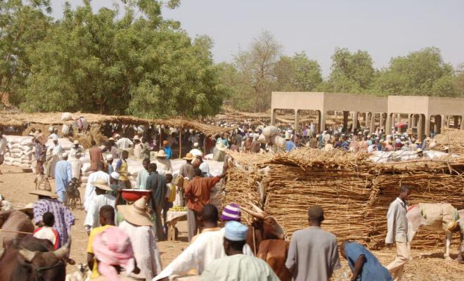 Diffa region, Boko Haram amnesty