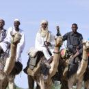 A group of Darfuris prepare to take part in a camel race. Credit: Amin Ismael. UNAMID.