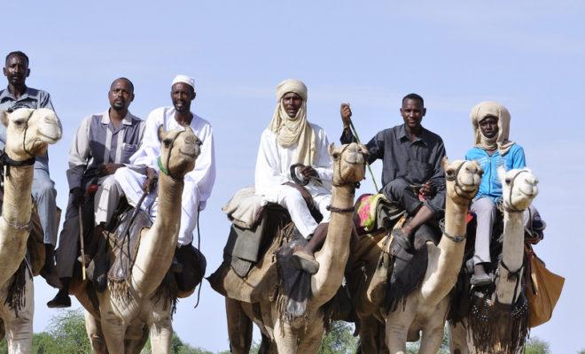 A group of Darfuris prepare to take part in a camel race. Credit: Amin Ismael. UNAMID.