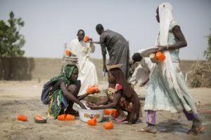 The Boko Haram insurgency has led thousands to flee in the Lake Chad region. Credit: Espen Røst / Bistandsaktuel.