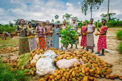 Côte d’Ivoire is the world's largest cocoa producer. Credit: Nestlé.