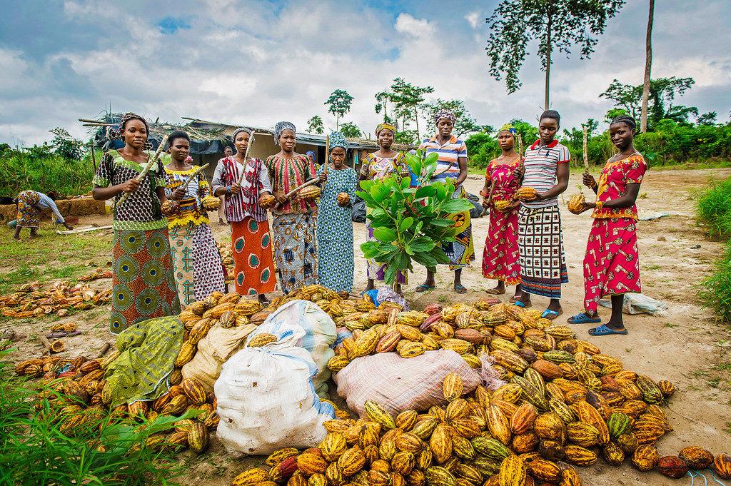 Côte d'Ivoire: Africa's fastest growing economy's bittersweet year ...