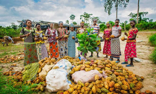 Côte d’Ivoire is the world's largest cocoa producer. Credit: Nestlé.