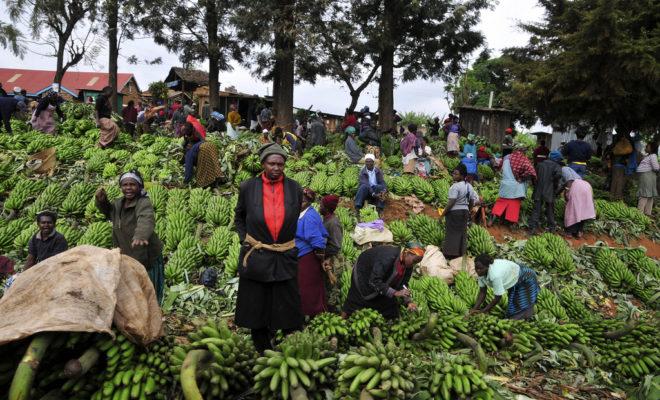 At a banana market in Kenya. Credit: CIAT.