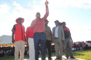 Nelson Chamisa, the new president of the MDC Alliance, at a recent rally. Credit: MDC Zimbabwe.