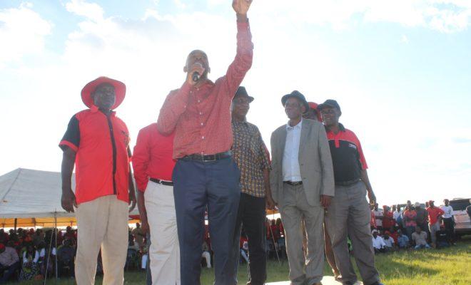 Nelson Chamisa, the new president of the MDC Alliance, at a recent rally. Credit: MDC Zimbabwe.