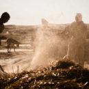 Farming near the Ethiopia-Eritrea border. Credit: Andrea Moroni.