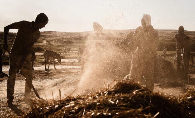 Farming near the Ethiopia-Eritrea border. Credit: Andrea Moroni.