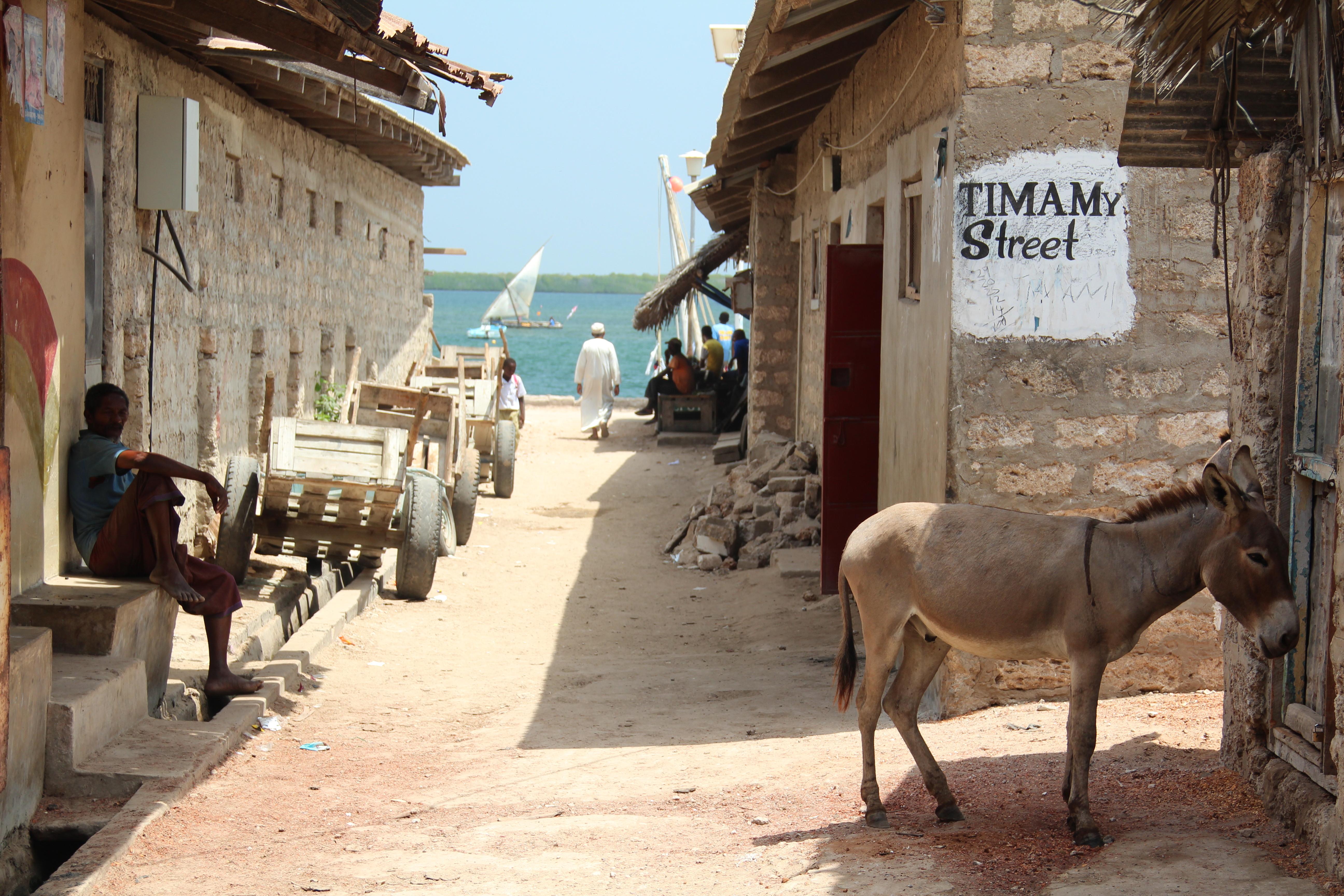 Lamu Kenya Lapsset 