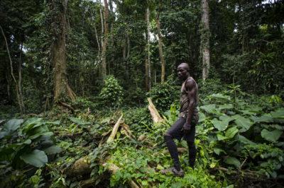 Cameroon is one of the most biodiverse countries in the world and home to over 20 protected reserves, but this is being threatened by the Cameroon crisis. Credit: Ollivier Girard/CIFOR.