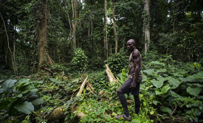 Cameroon is one of the most biodiverse countries in the world and home to over 20 protected reserves, but this is being threatened by the Cameroon crisis. Credit: Ollivier Girard/CIFOR.