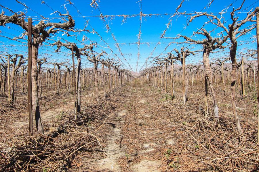 Insiders Insight Namibian land reform & the ongoing fight for freedom