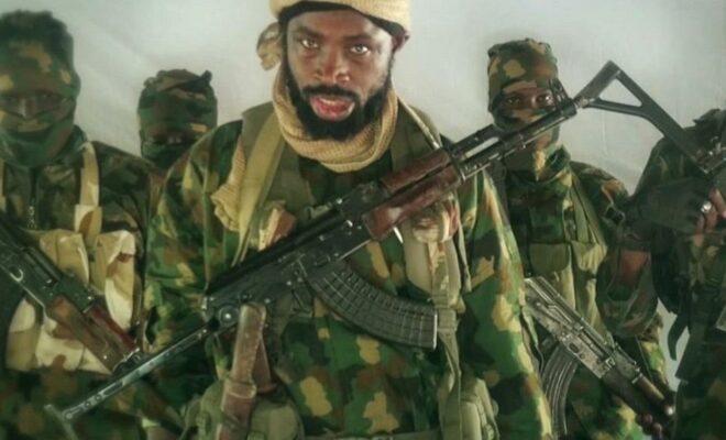 In November 2018, Abubakar Shekau appeared in a video for the first time since July.