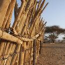 Smuggling networks in east Sudan are flexible and resilient. Credit: SOS Sahel