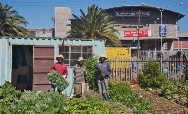 Farmers from Abalimi Bezekhaya, an urban farming initiative in Cape Town. Credit: Ellen Zachos.