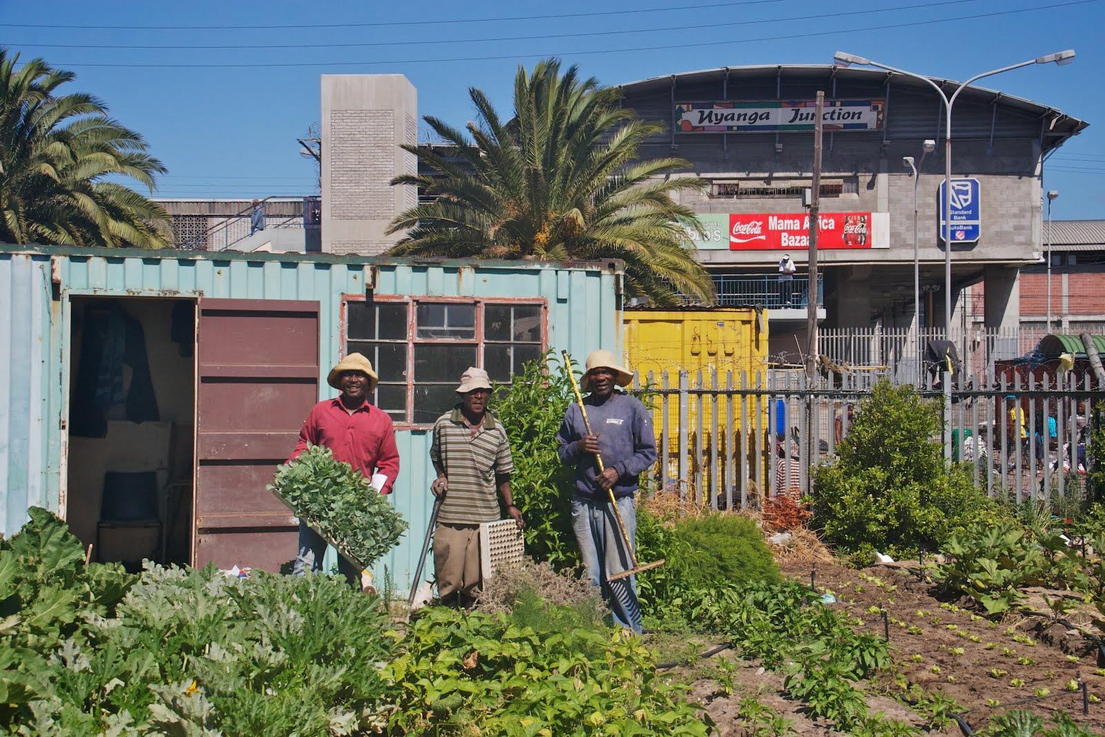 Farmers from Abalimi Bezekhaya, an urban farming initiative in Cape Town. Credit: Ellen Zachos.