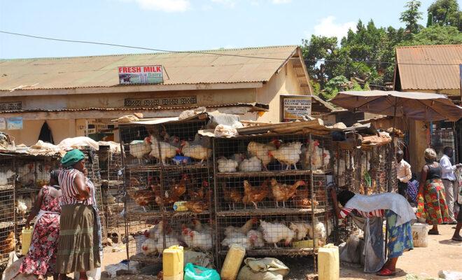 informal economy uganda coronavirus covid-19