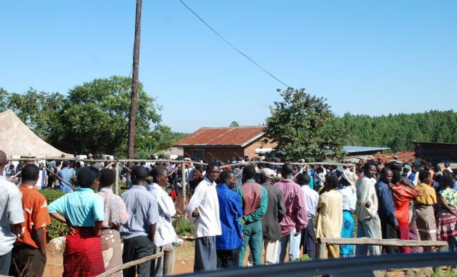 Voters in Malawi queue to cast their ballots in a previous election. Credit: Commonwealth Secretariat.