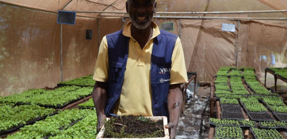 A farmer in Senegal West Africa tests methods of agroecology on the resilience of crops. Credit: FAO.