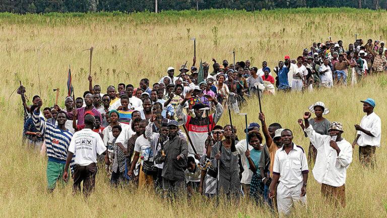 Two Decades of Dithering: Where is Zimbabwe’s Agrarian Bourgeoisie ...