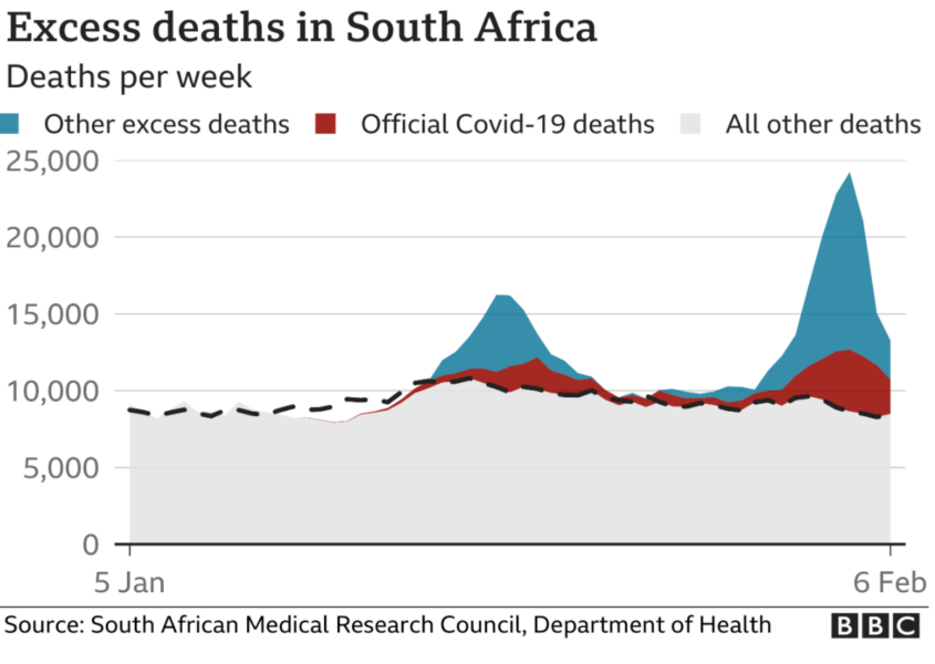 The Sociology of Ground Zero: The South African Variant and Colonial ...