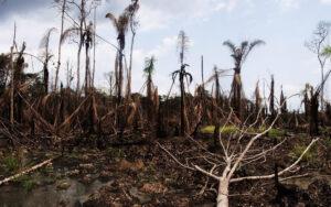 shell Oil spill in the Niger Delta, Nigeria. Credit: Sosialistisk Ungdom (SU)