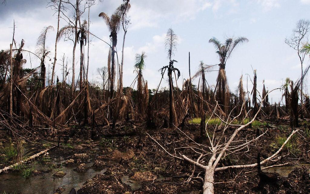 Finally Shell Can No Longer Shirk Responsibility For Niger Delta Oil 