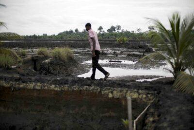 Shell. An oil spill in Ogoniland in the Niger Delta, Nigeria. Credit: Luka Tomac/Friends of the Earth International.