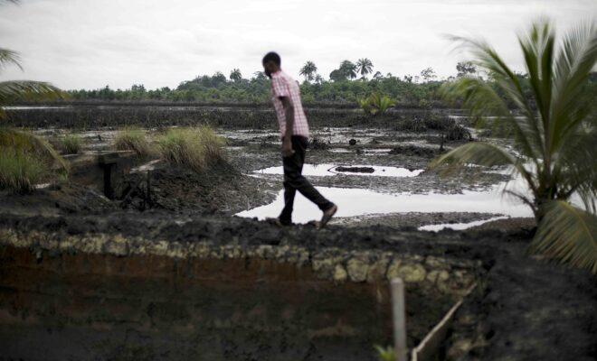 Shell. An oil spill in Ogoniland in the Niger Delta, Nigeria. Credit: Luka Tomac/Friends of the Earth International.