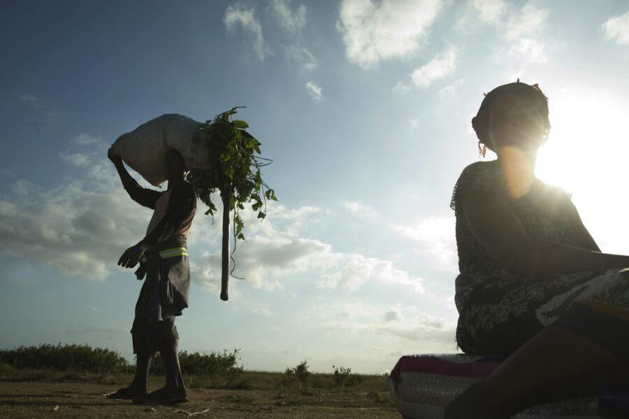 climate change africa cop26: Francisco Diaz carries greens from his farming plot back to his household in Mozambique. Credit: Jeffrey Barbee/Thomson Reuters Foundation.