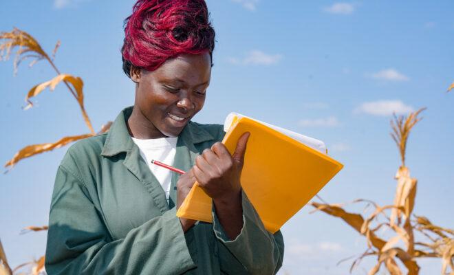 Field technician Maurene Adhiambu records data in Kenya. Credit: CIMMYT/ Peter Lowe.