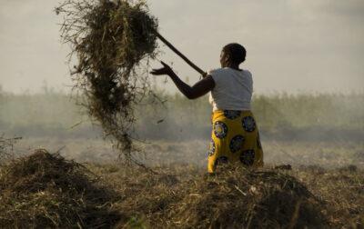 A female farmer clears a plot in Mozambique. Credit: Jeffrey Barbee/Thomson Reuters Foundation.