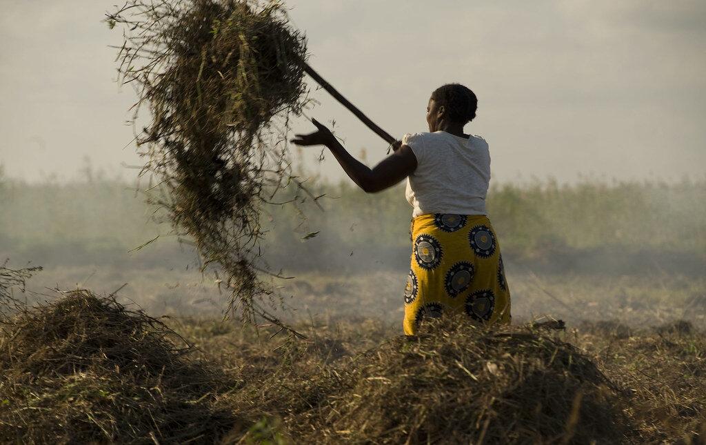 A female farmer clears a plot in Mozambique. Credit: Jeffrey Barbee/Thomson Reuters Foundation.