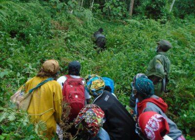 Local women watching gorillas in natural habitat in Kahuzi-Biega National Park. Credit: Pole Pole Foundation.