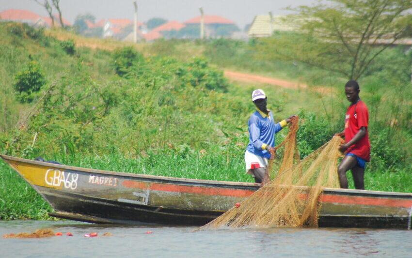 Fishing on Lake Victoria. Credit: Michell Zappa.