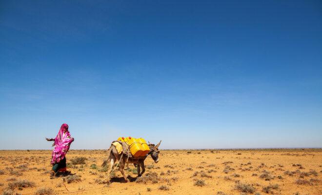 Typical coping strategies such as a nomadic lifestyle are inadequate to handle what is potentially the worst food crisis in Somalia's recent past. Credit: UNDP Somalia.