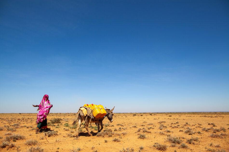 Typical coping strategies such as a nomadic lifestyle are inadequate to handle what is potentially the worst food crisis in Somalia's recent past. Credit: UNDP Somalia.