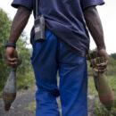 A member of MONUSCO, one of the forces in the eastern DRC where the M23 is operating, clears Unexploded Ordnance (UXO). Credit: UN Photo/Sylvain Liechti.