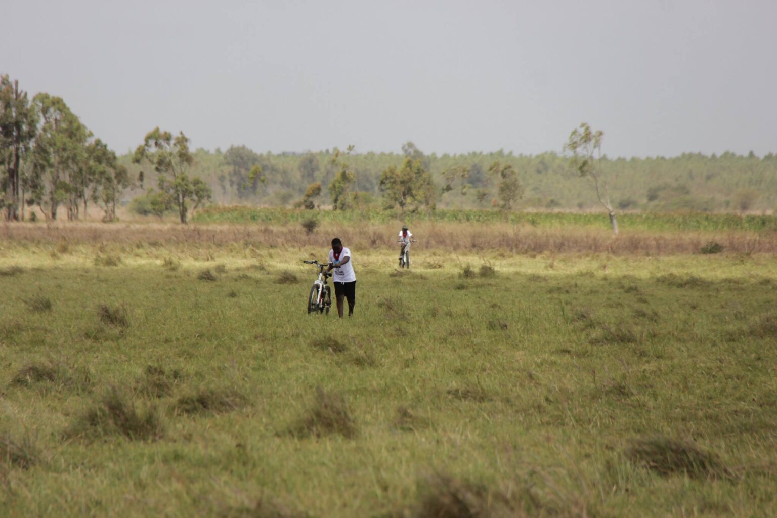 The rebirth of antielite land politics in Ruto's Kenya African Arguments