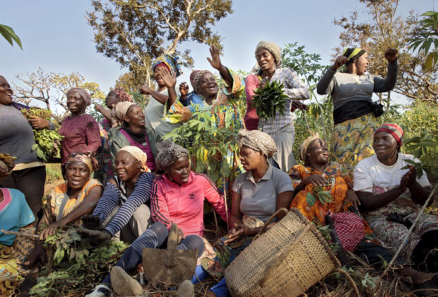 Africa food system. A women's farming cooperative in the township of Yoko, Cameroon. Credit: UN Women/Ryan Brown.