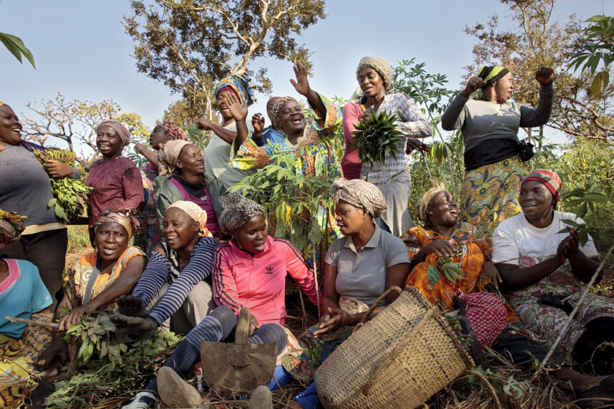 Africa food system. A women's farming cooperative in the township of Yoko, Cameroon. Credit: UN Women/Ryan Brown.