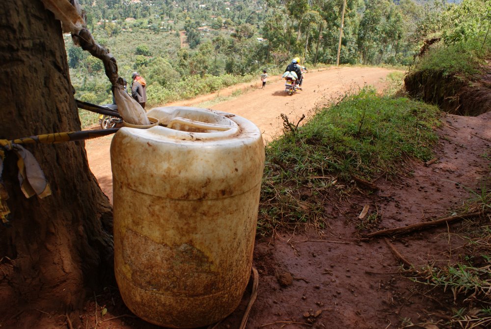 A container fills up with water through the day, funnelled in from polythene sheets around the tree. Credit: David Njagi.