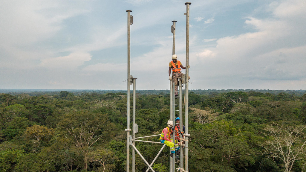 Constructing a scientific tower in the Congo Basin, which may see more after COP28. Credit: Fiston Wasanga/CIFOR.